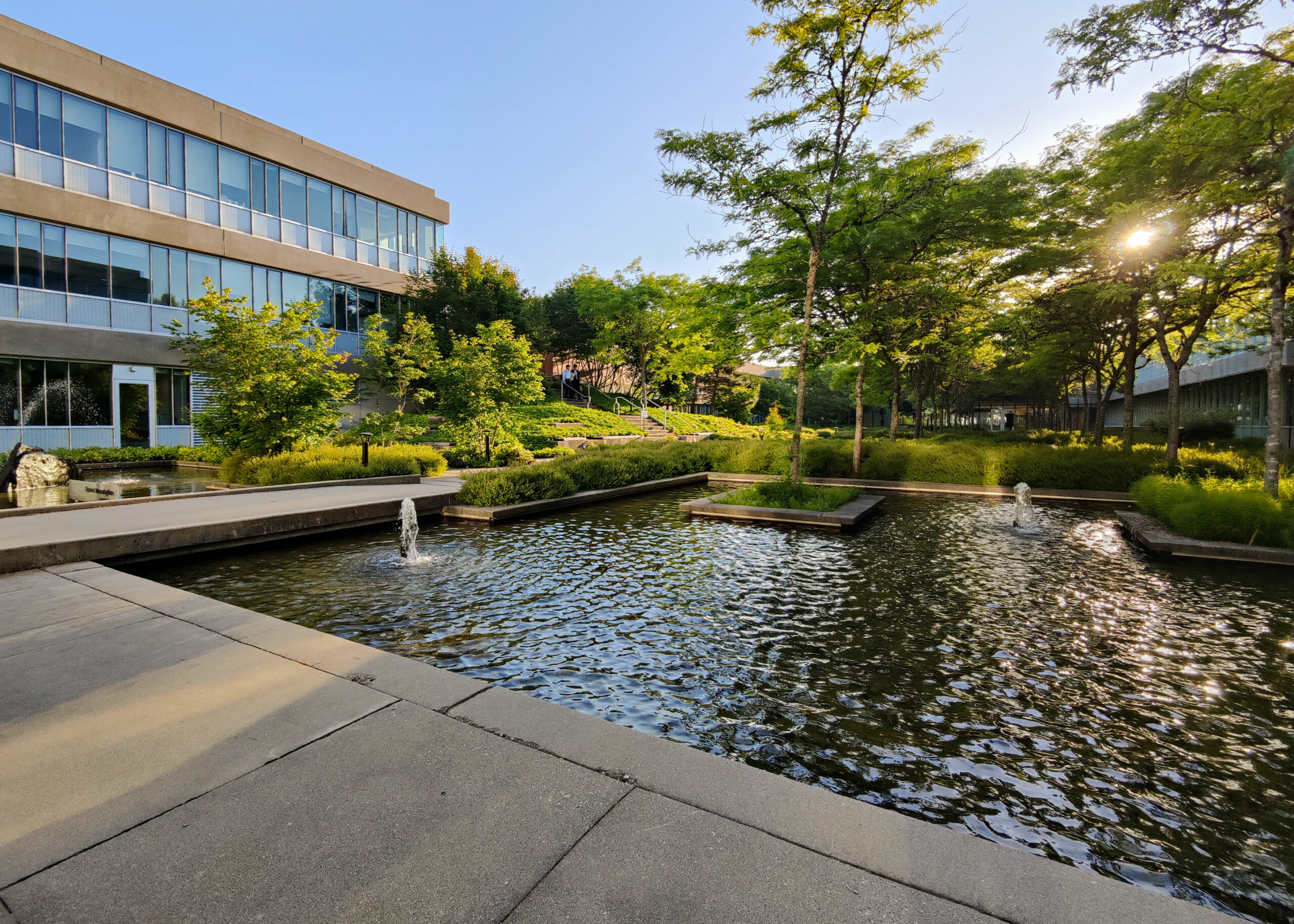 This is a photo of the SFU Burnaby Campus. A small pond in a courtyard is surrounded by buildings and small trees.