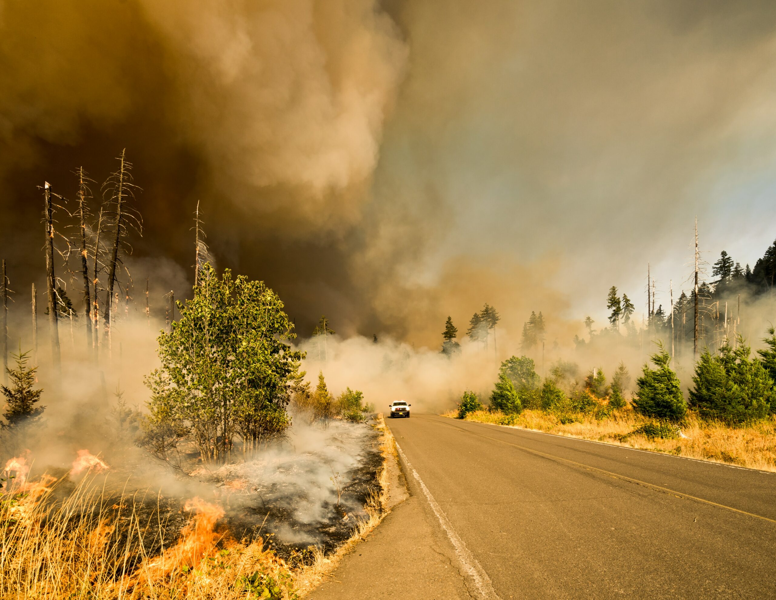 a car driving away from a forest fire with smoke in the background