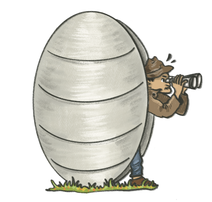 Someone hiding in the avocado/egg using binoculars. (basically acting like a spy)