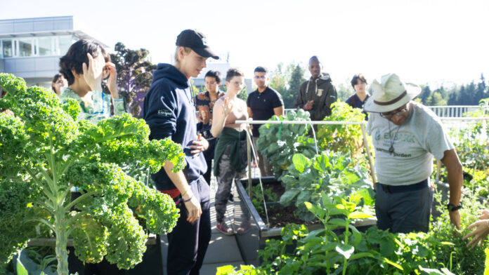 This is a photo of the community gardens. The attendees of Catalyst Cafe are in the gardens looking at the growing food.