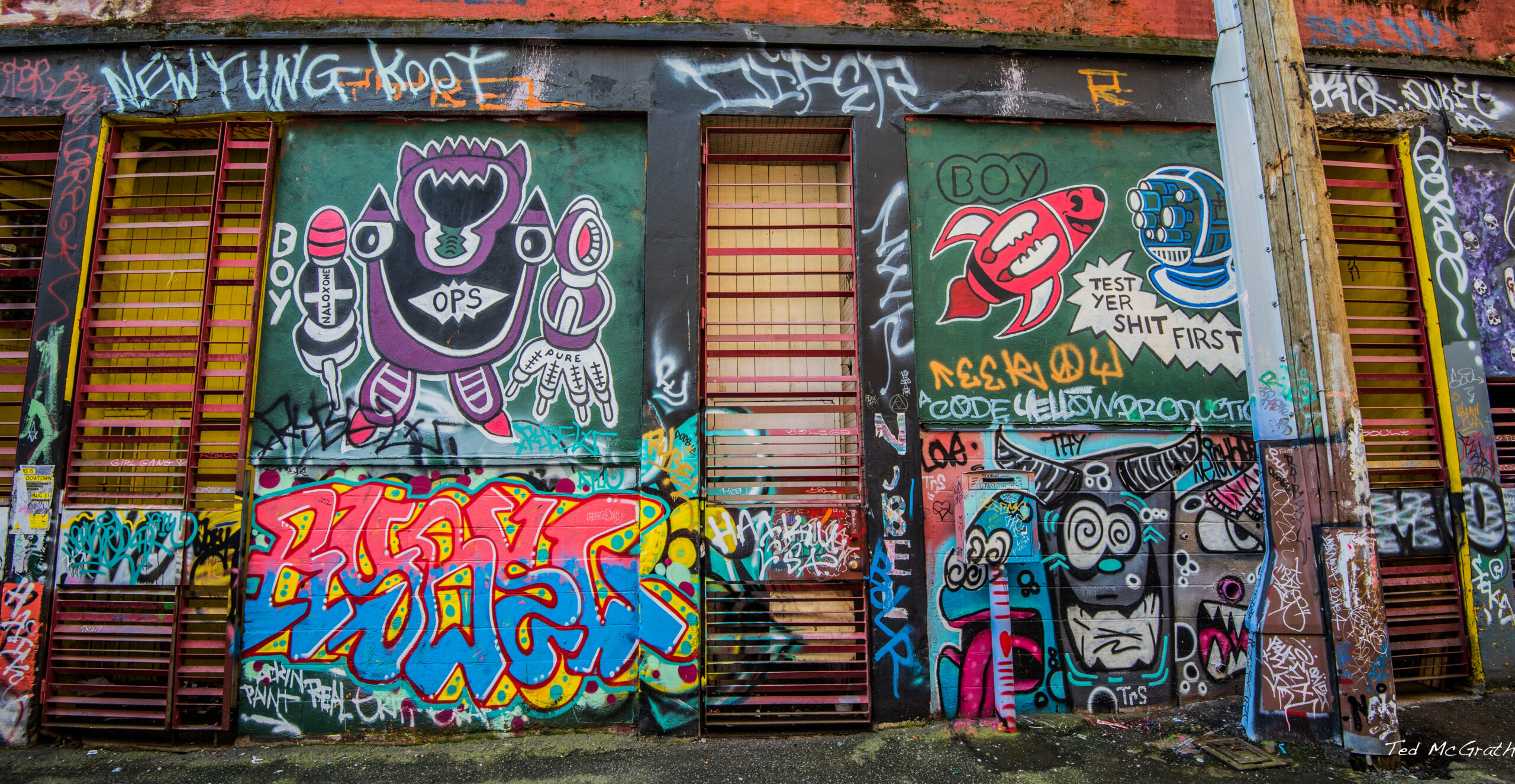 This is a photo of an alley on the Downtown East Side in Vancouver. The alley is covered in graffiti. The art reads, “Test your shit,” and “Naloxone.”