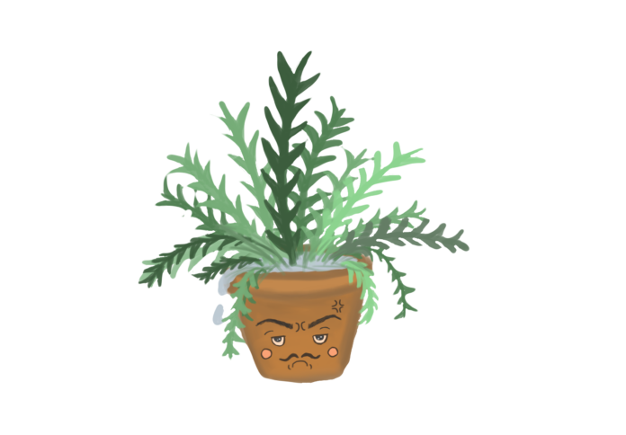 PlantsCanDrown_AnanyaSingh A fern in a pot. The pot has a grumpy face on it with a mustache indicating that the fern is unhappy.