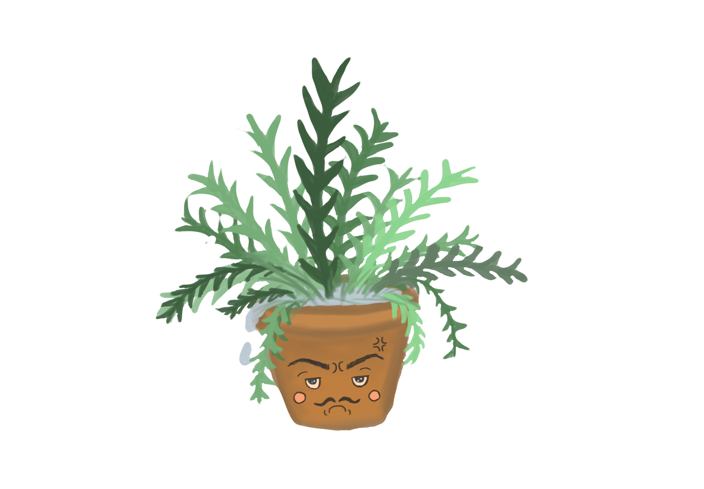A fern in a pot. The pot has a grumpy face on it with a mustache indicating that the fern is unhappy.