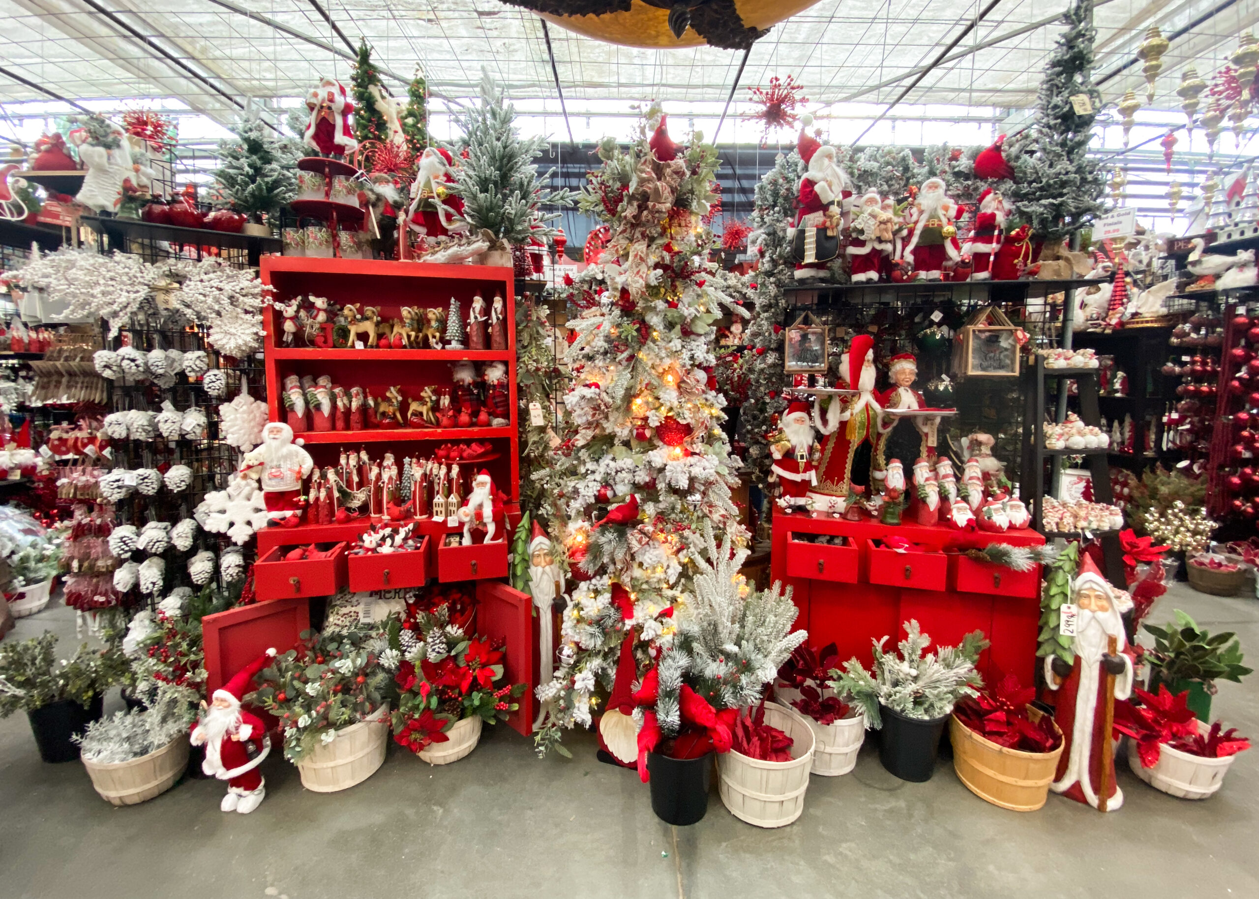 A vivid display of christmas decorations at Potter’s Nursery’s Christmas store, with snowy plastic christmas trees, santas, and other ornaments.