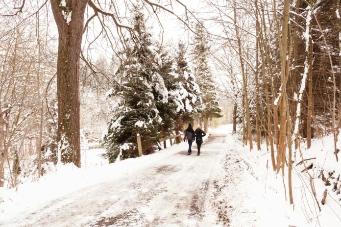 photo of a pair walking through a frosty forest.