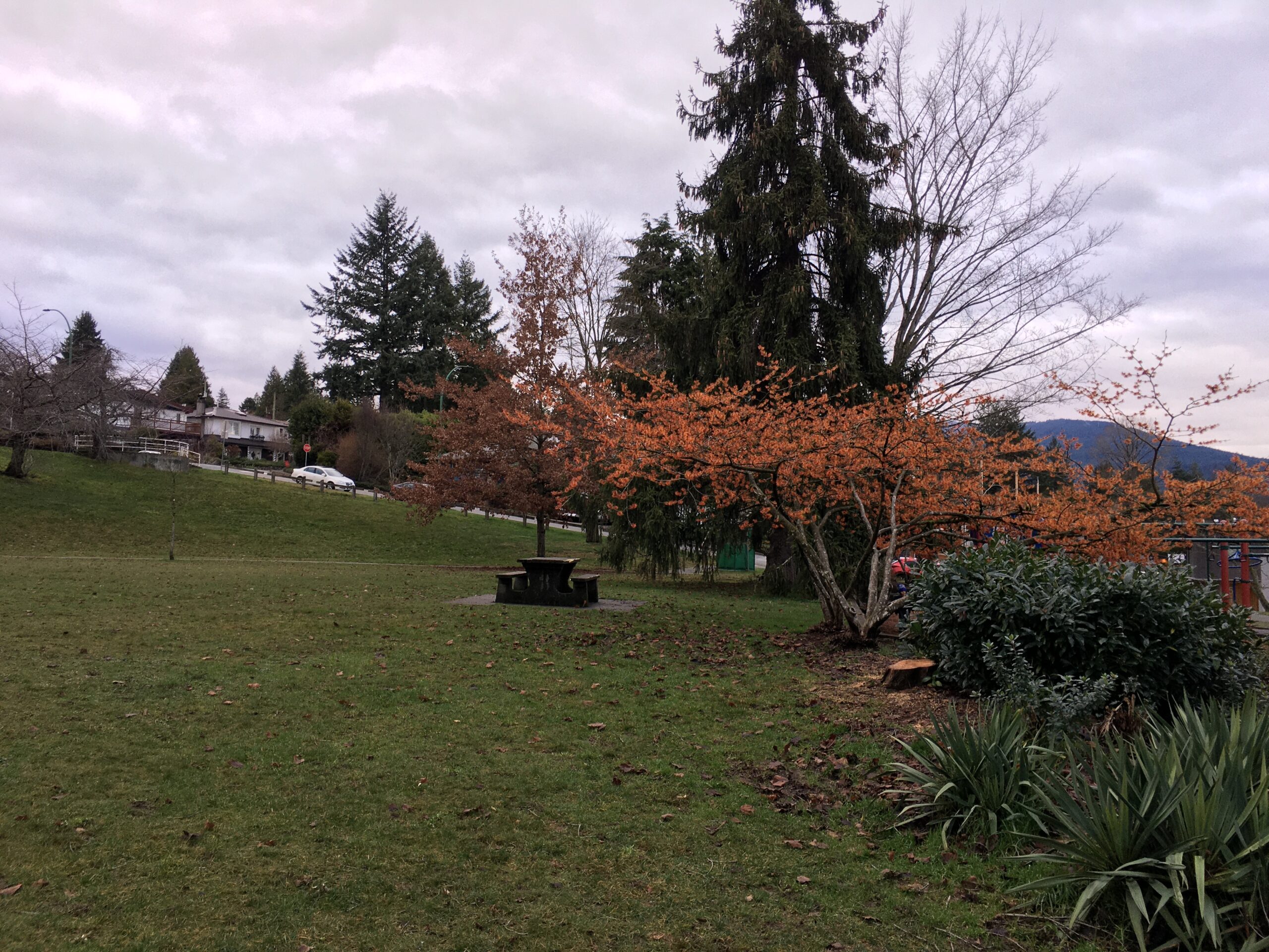 This is a photo of Cloverley Park. The park is on a small hill, with residential houses in the background