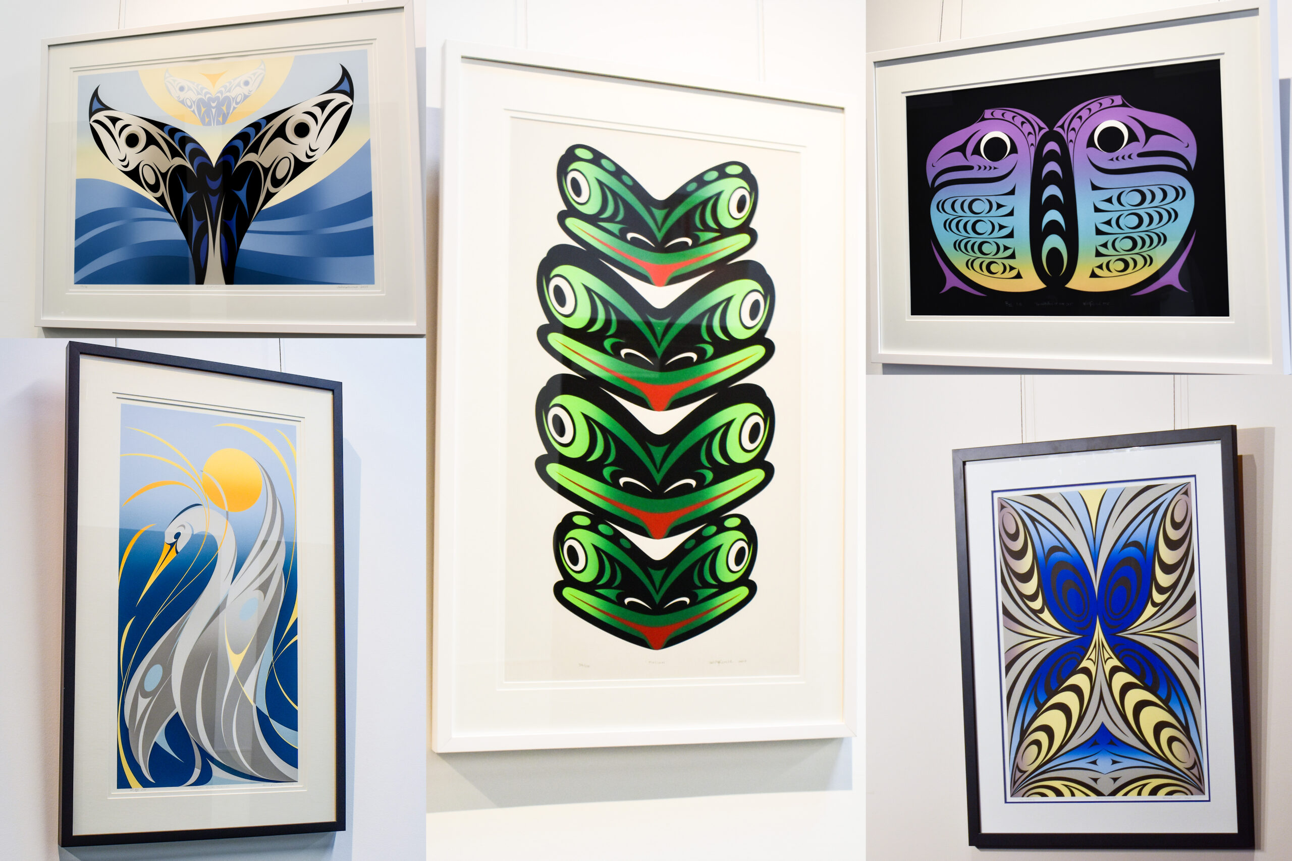 A collage of five framed formline design prints, with curved lined patterns and gradient backgrounds in vibrant colours. The center piece features four frog faces stacked. The other pieces feature, a heron, a butterfly, and a whale tail.