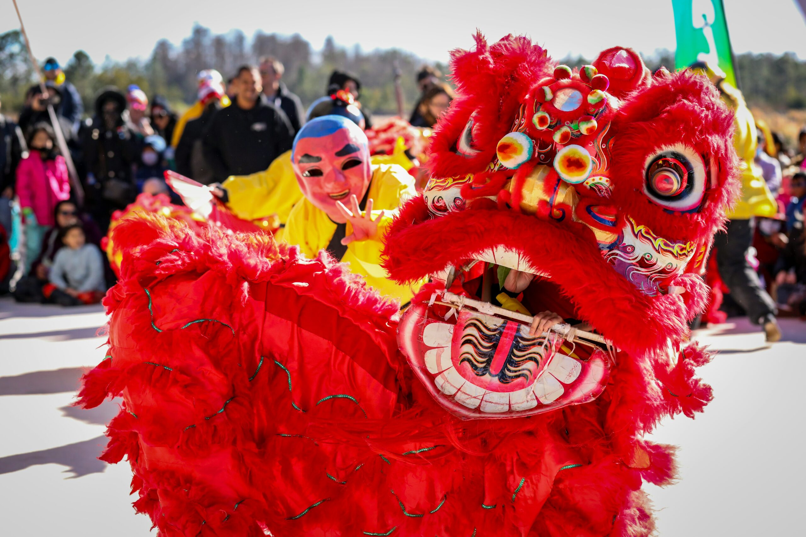 Photo of a dancing lion