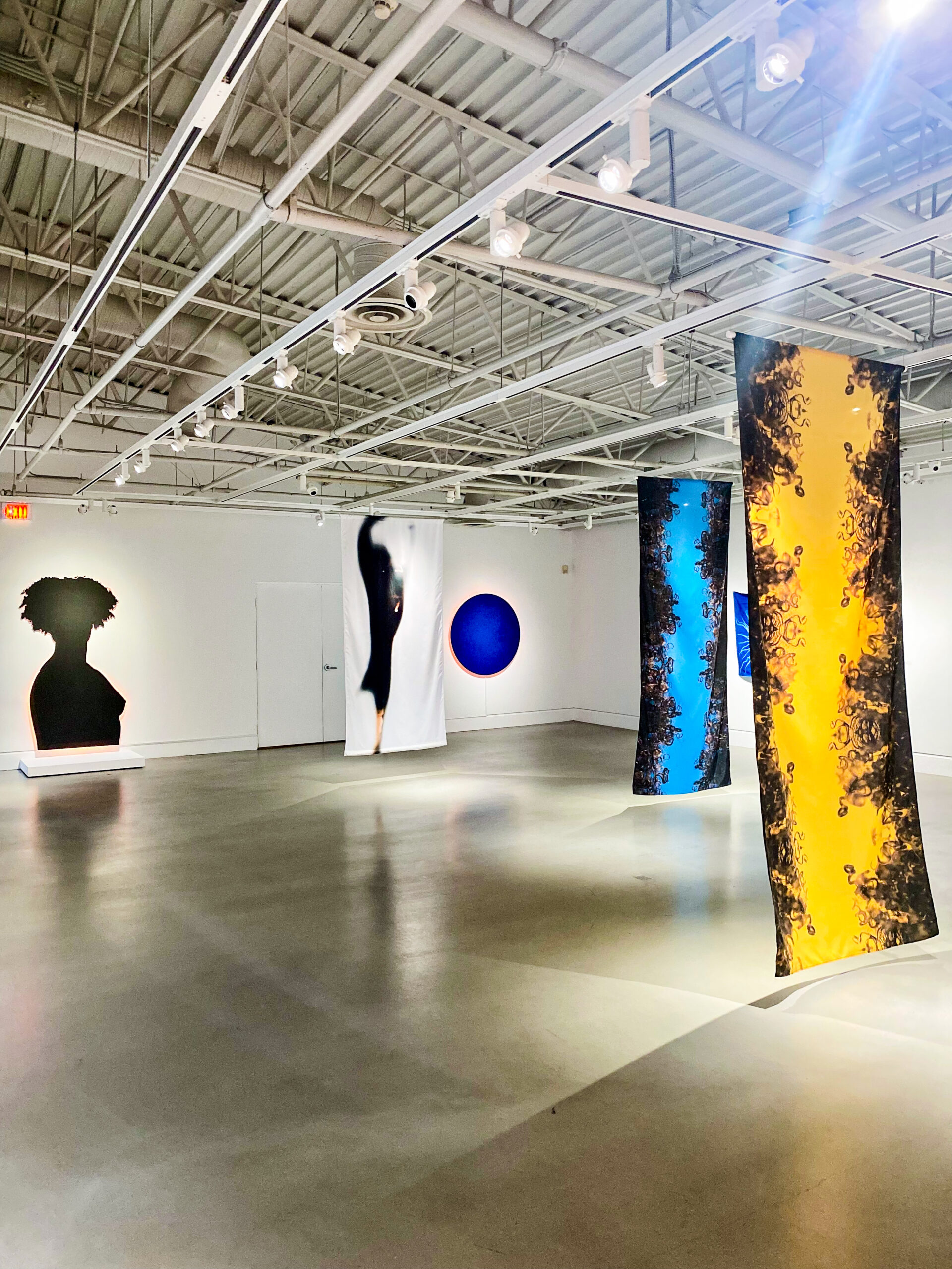 A gallery room with white walls, lots of empty space, and fluorescent lights. There are multiple large canvases of photographs featuring silhouettes of curly hair.