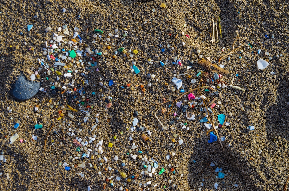 This is a photo of sand that contains multiple pieces of small colourful plastics.