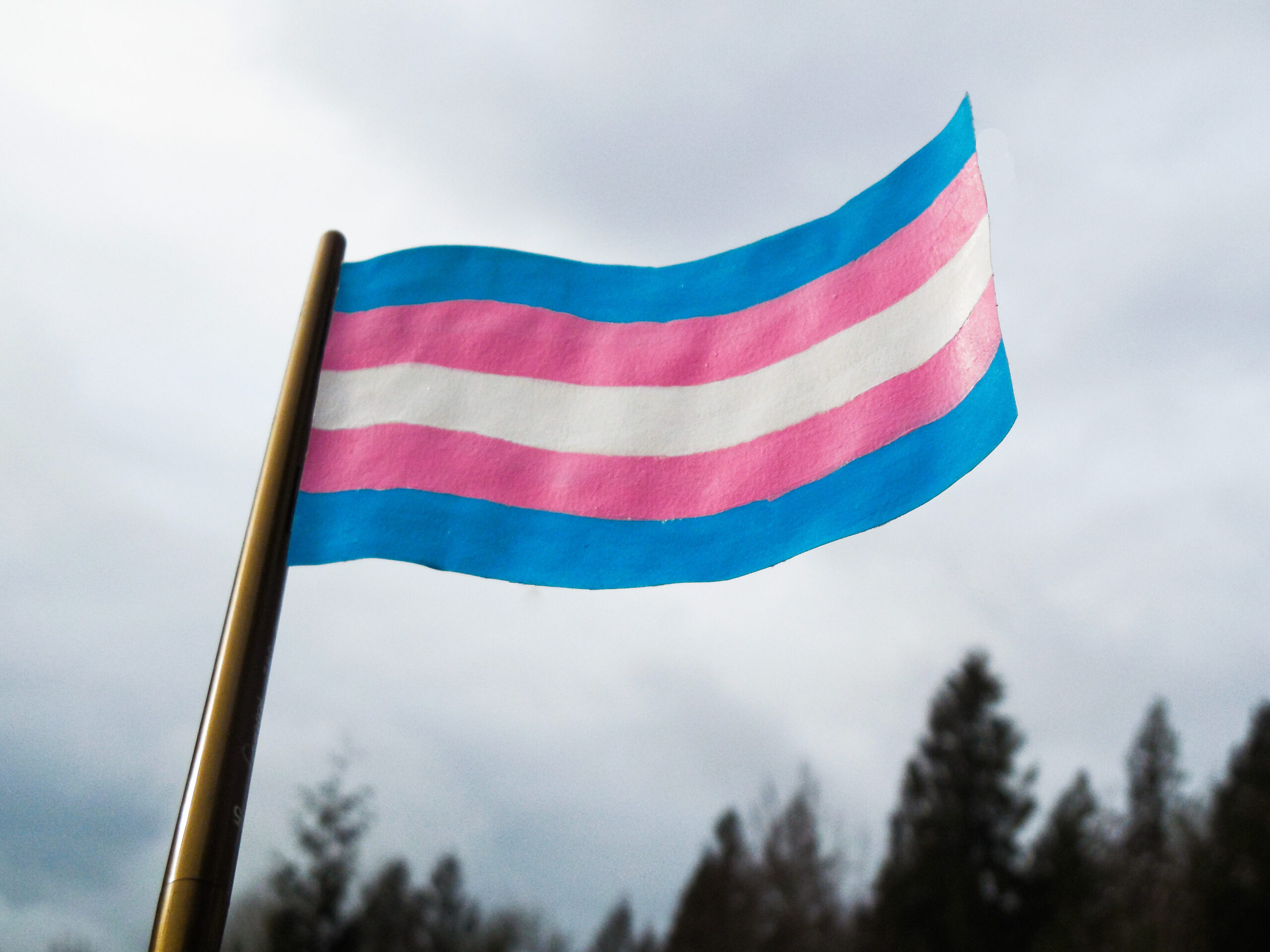 This is a photo of a trans flag on a flagpole outside.