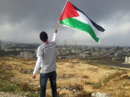 A person waving a Palestine flag with the olive branch pattern of the keffiyeh on their shirt, standing on a hill overlooking a residential neighborhood.