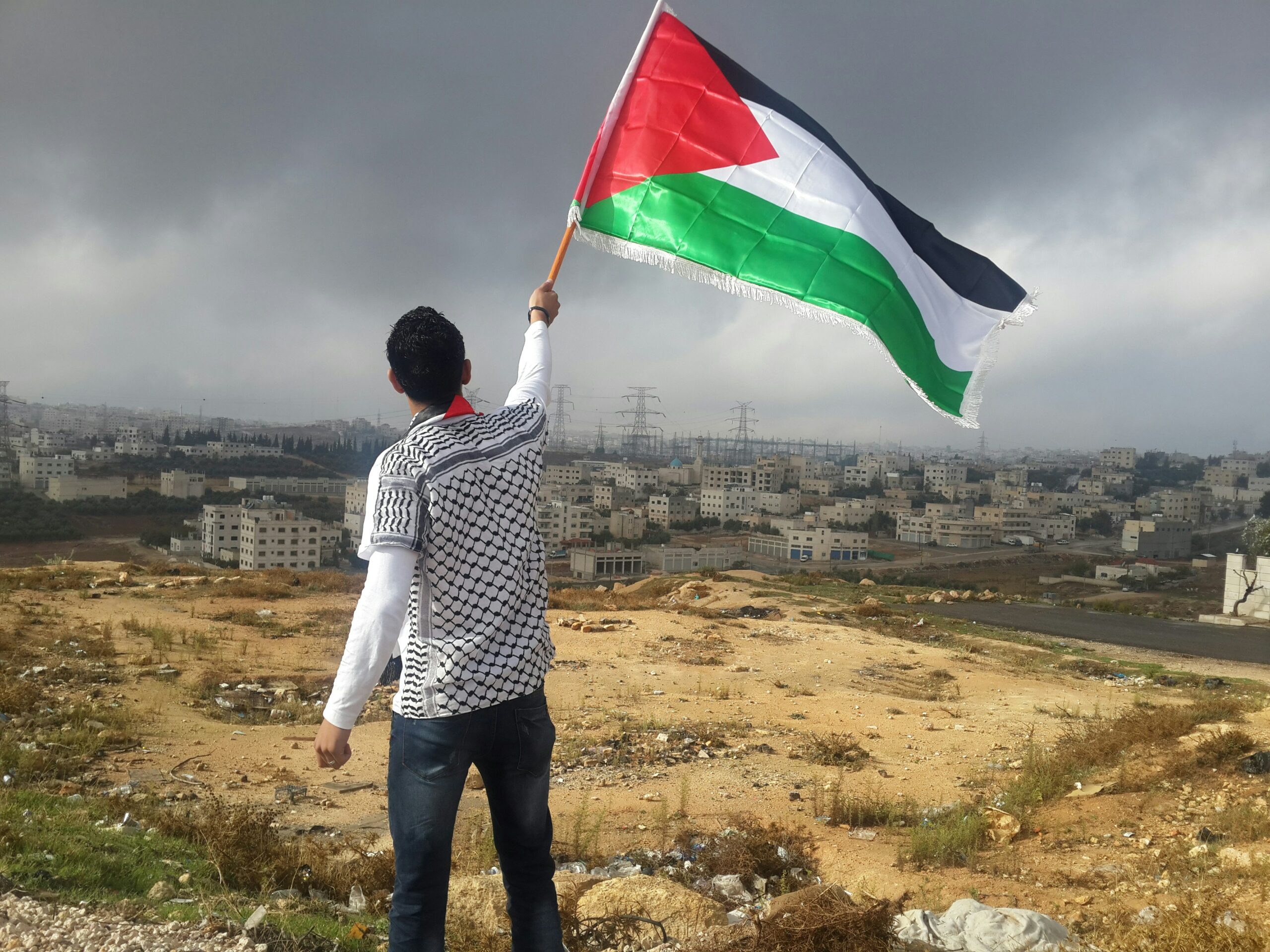 A person waving a Palestine flag with the olive branch pattern of the keffiyeh on their shirt, standing on a hill overlooking a residential neighborhood.