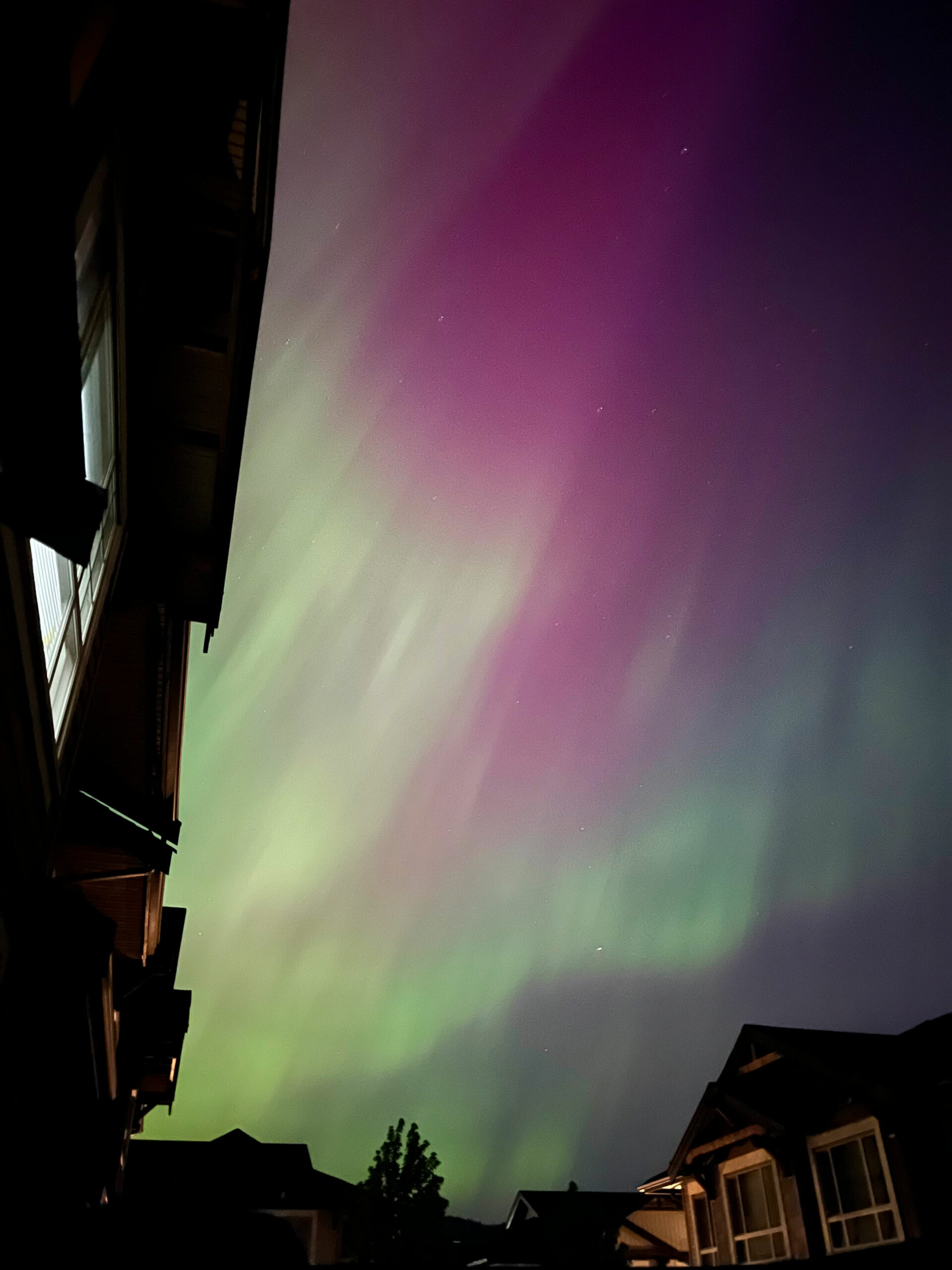 The Northern Lights are illuminated in the sky above a residential neighbourhood in shades of green, blue, and purple