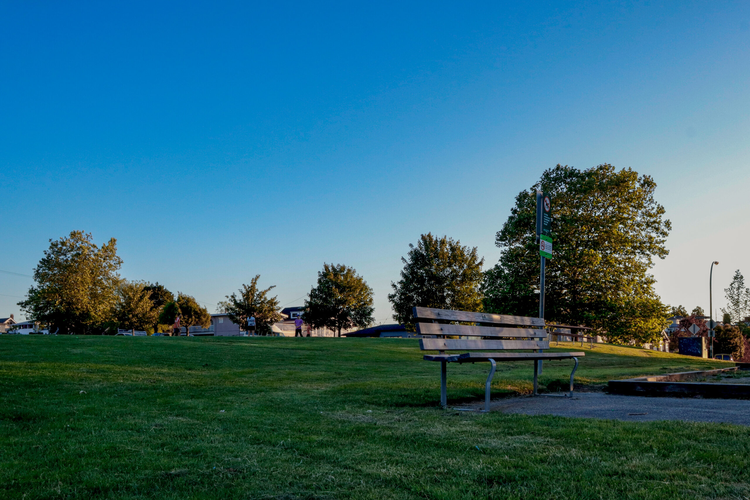 A bench at a grassy park.