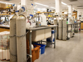 This is a photo of different tables and gas tanks in the Verheyen lab