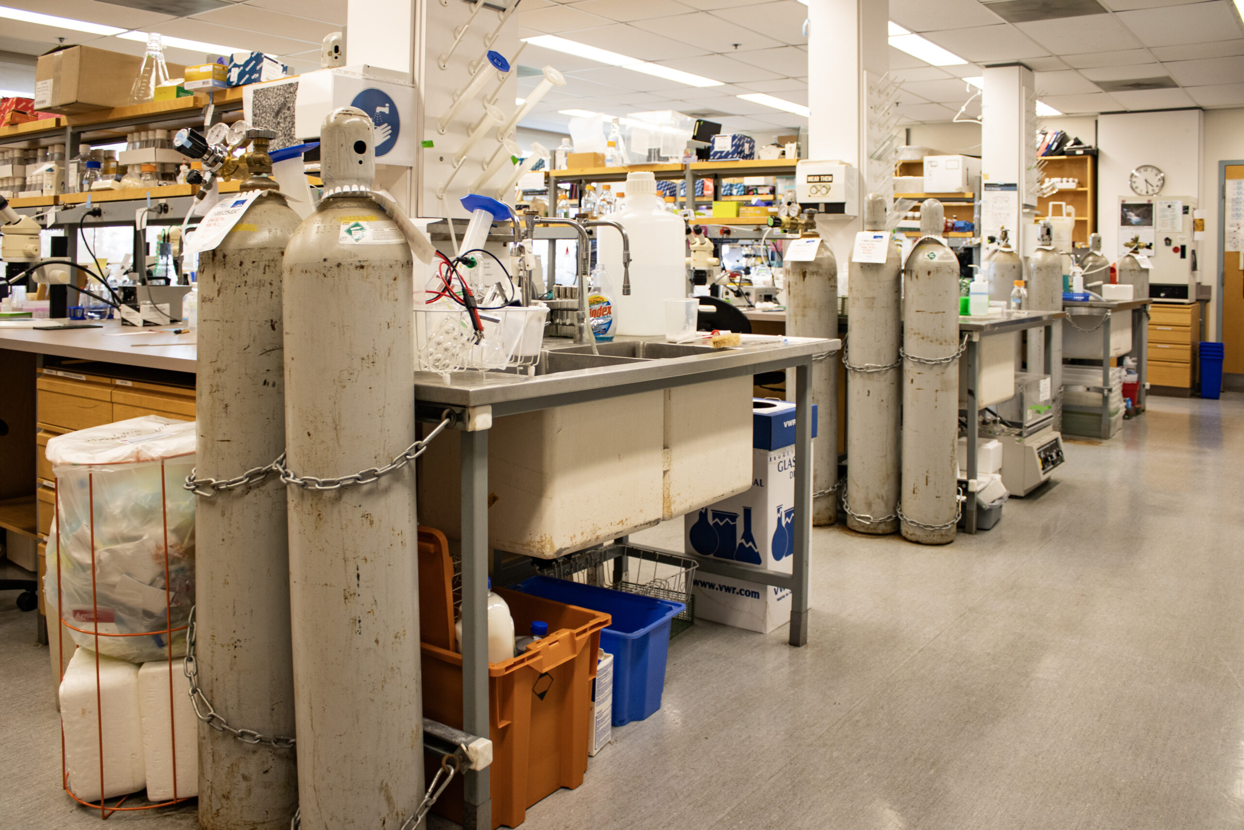 This is a photo of different tables and gas tanks in the Verheyen lab