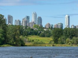 This is a photo of many trees and buildings in the distance in Burnaby.