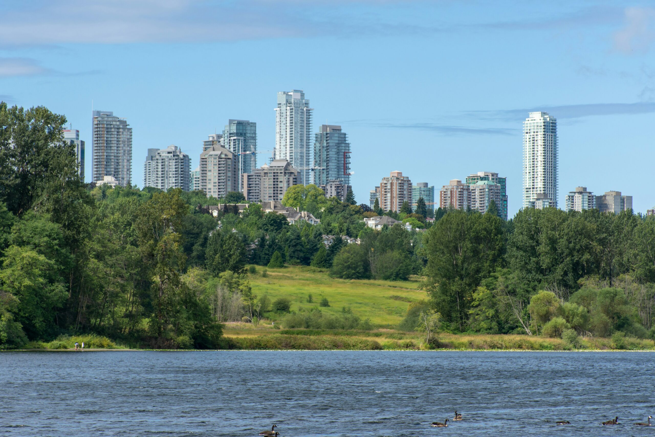 This is a photo of many trees and buildings in the distance in Burnaby.