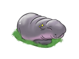 An illustration of Moo Deng, the pygmy hippo, she is calmly lying on some grass.