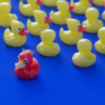 Peakie strikes again with advice! Many yellow plastic ducks on a blue background. There is a red plastic duck wearing a crown standing out in front of the others.