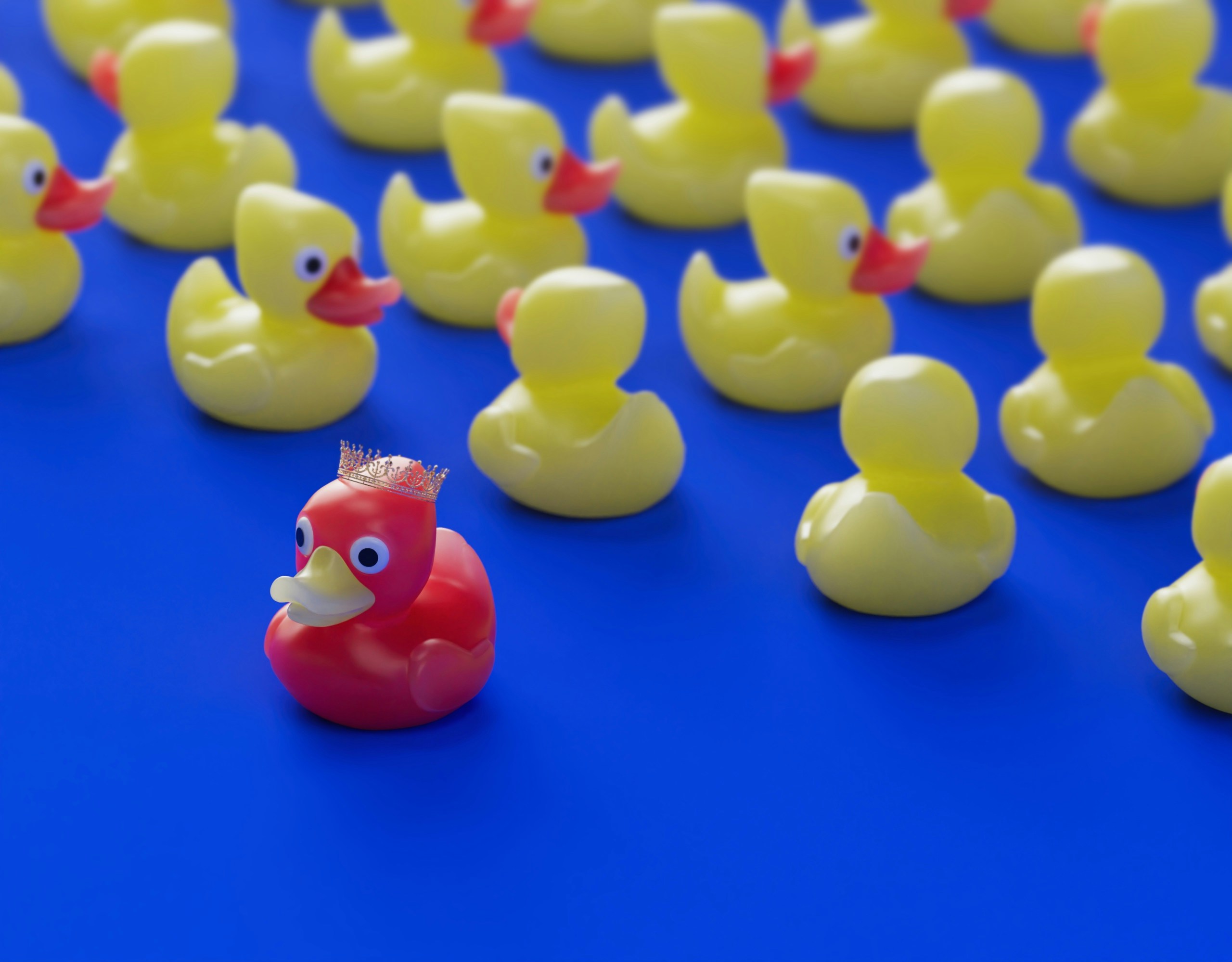 Many yellow plastic ducks on a blue background. There is a red plastic duck wearing a crown standing out in front of the others.