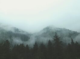 Mountains covered in fog.