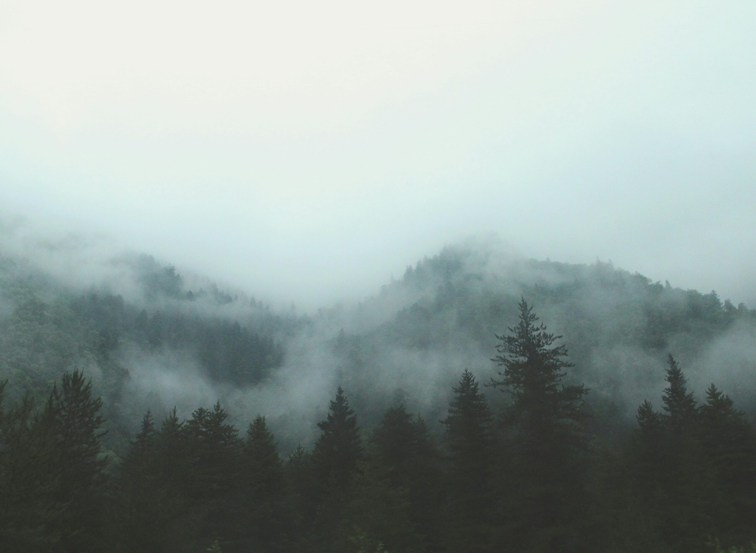 Mountains covered in fog.