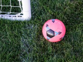 a pink soccer ball sitting in green grass. In the corner, the frame of a soccer net can be seen.