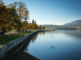 This is a photo of a park in Kelowna in fall, featuring a body of water by the park