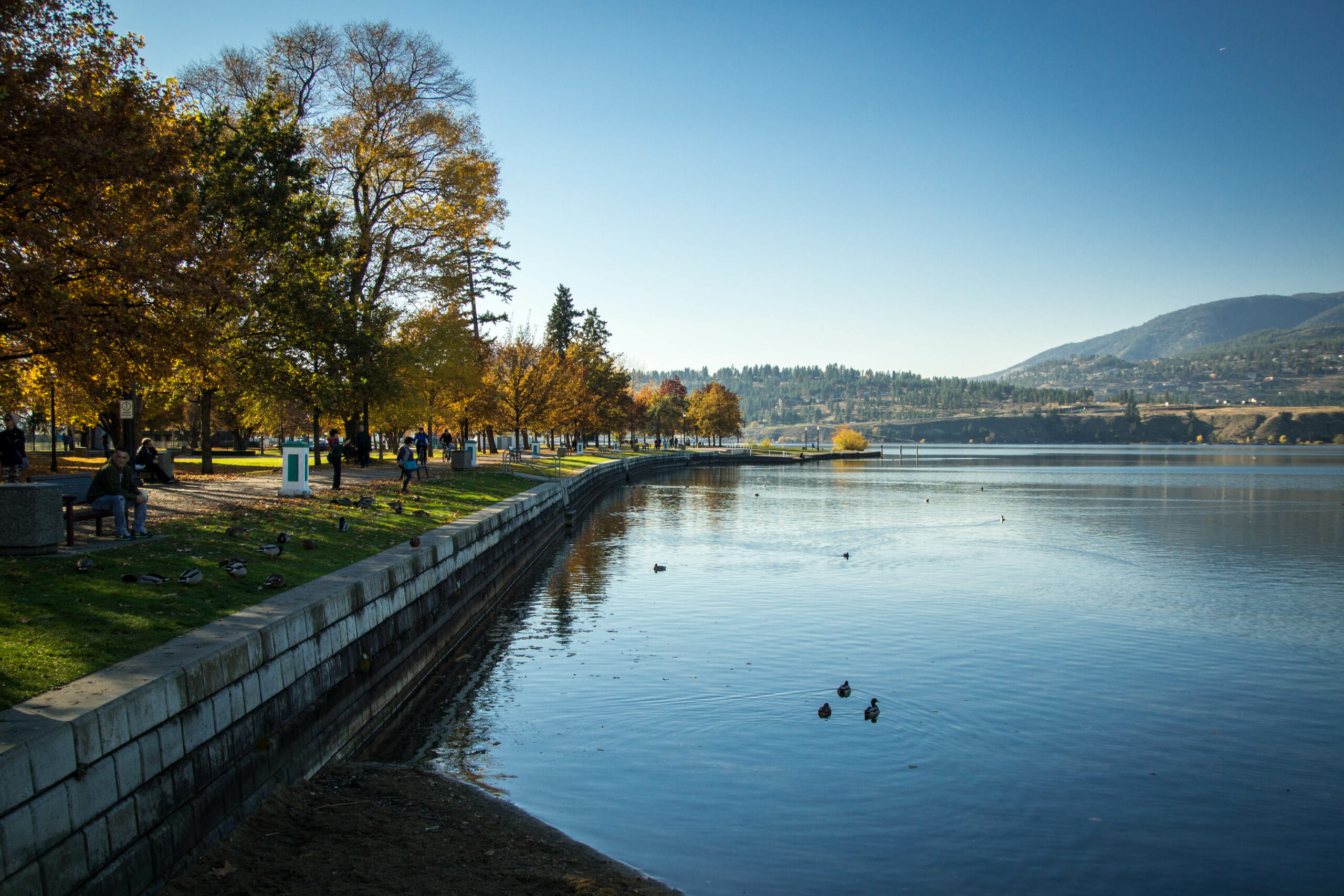 This is a photo of a park in Kelowna in fall, featuring a body of water by the park