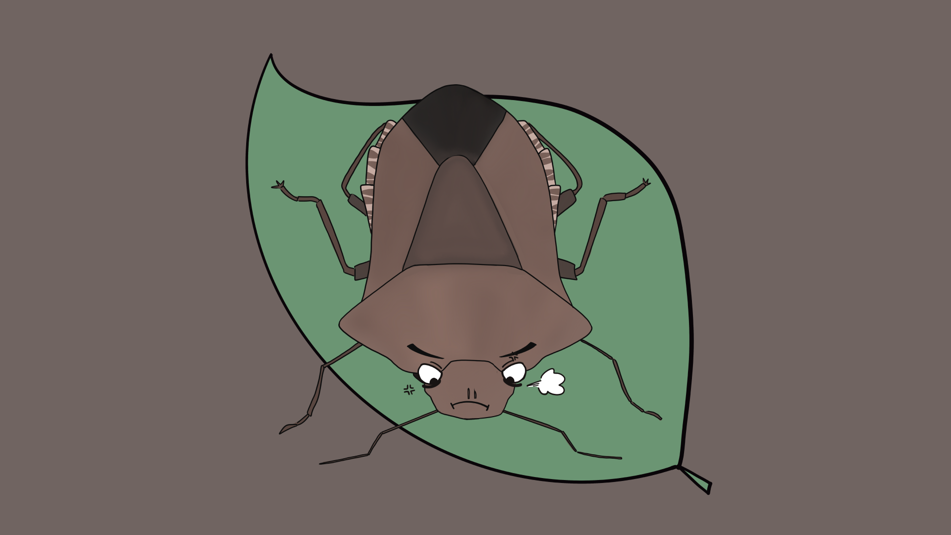 Illustrative brown stink bug with an angry face