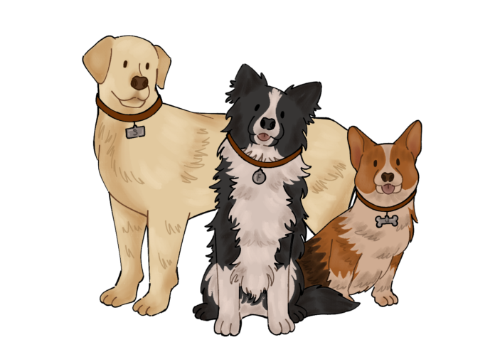 AbigailStreifel-TherapyDogs An illustration of various puppies