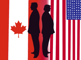 Digital vector art. Donald Trump and Pierre Poilievre standing side-by-side, their backs to each other. Behind Trump is the US flag, and behind Poilievre is the Canadian flag.