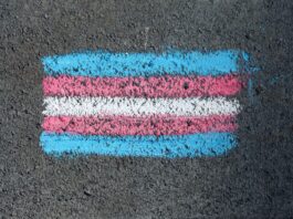 Chalk lines of blue, pink, white, pink again, and blue again drawn on concrete depicting a trans flag.