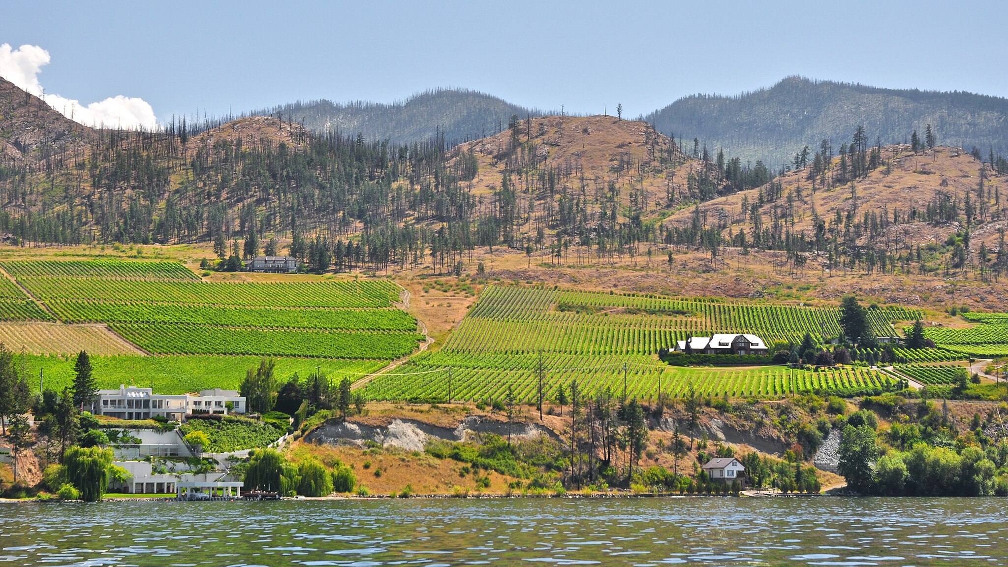 This is a photo of a bright green farm in Canada in the middle of a dry landscape.