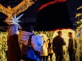 Two women with their backs to the camera wandering around an outdoor space filled with small, golden yellow lights.