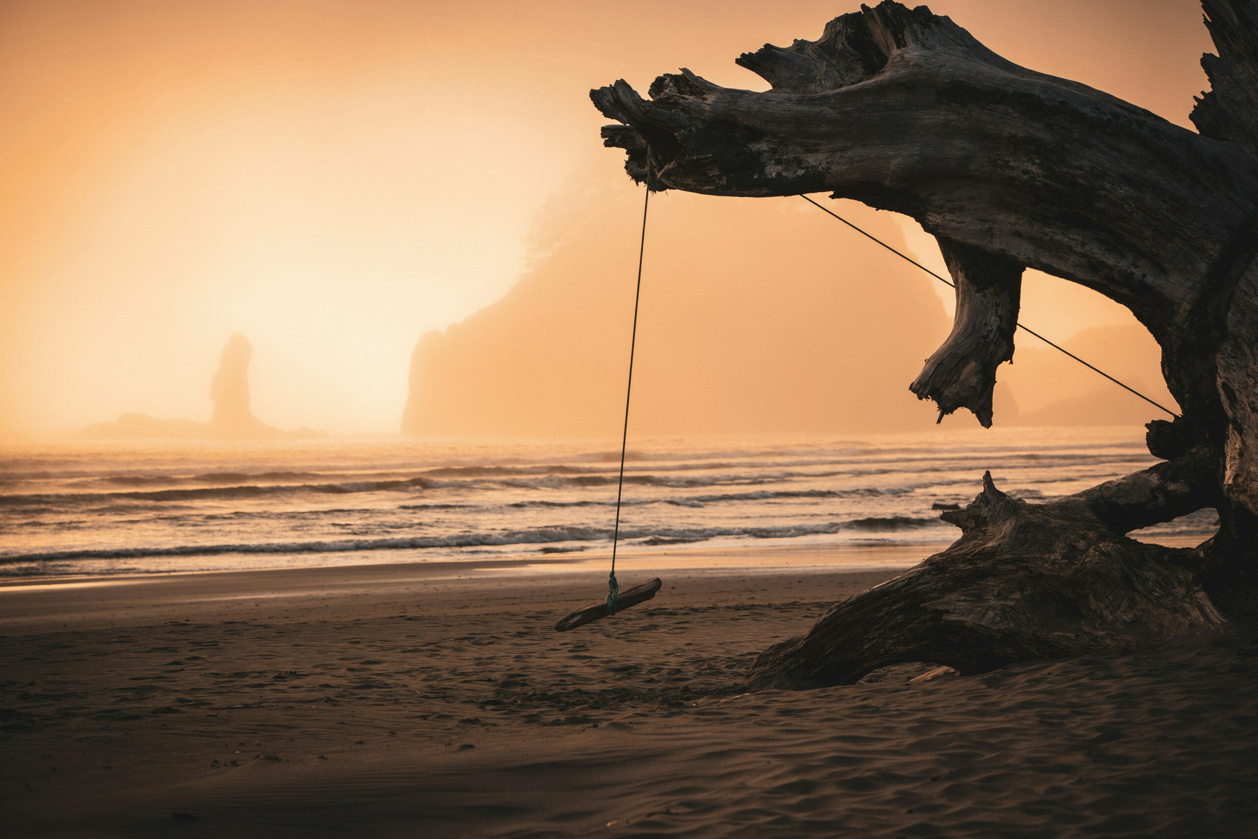 A tree on the beach with a swing at sunset