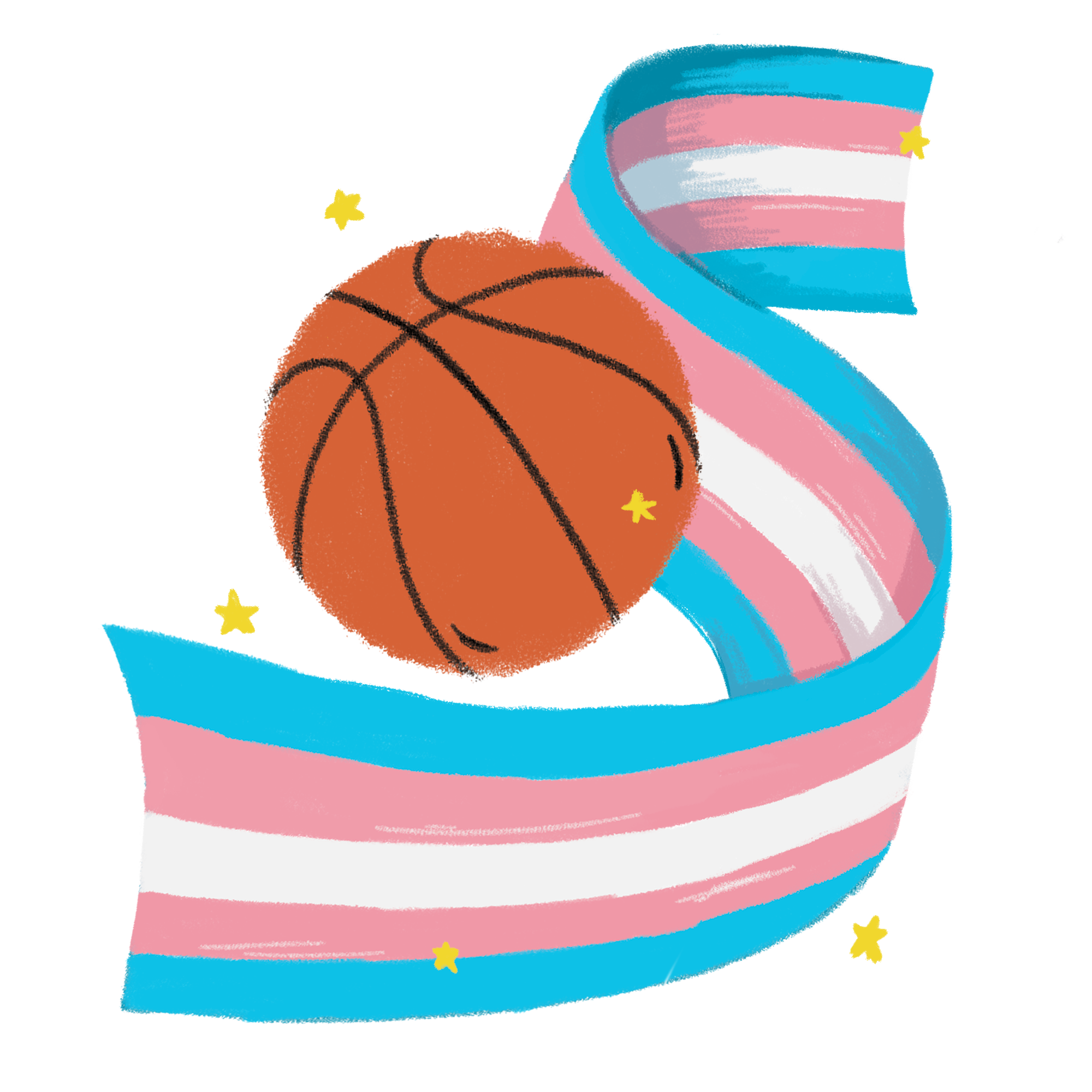 A basketball wrapped in a trans flag.