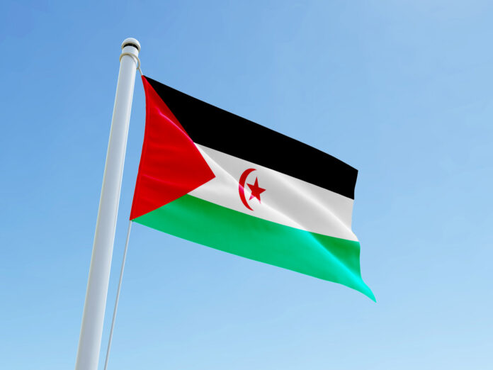 flag_sadr This is a photo of a Western Sahara flag with the blue sky in the background.