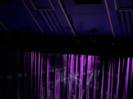 Four performers wave out to a stage while lit up in purple spotlights.