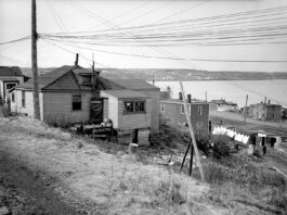 photo of africville before demolition