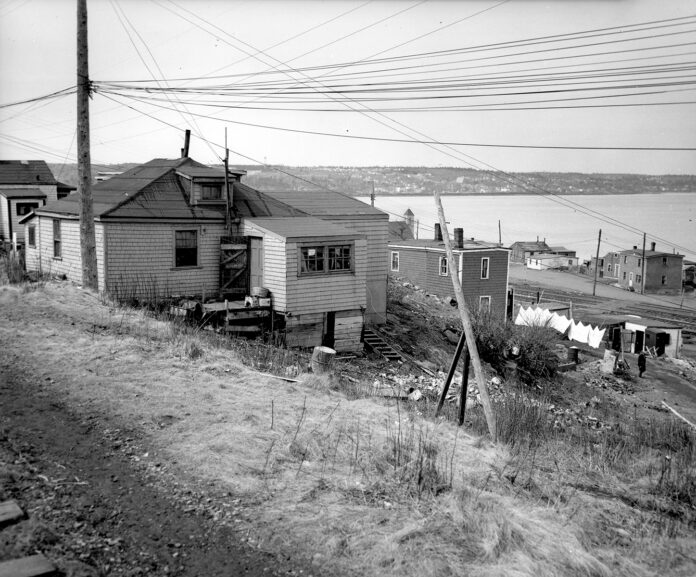 photo of africville before demolition