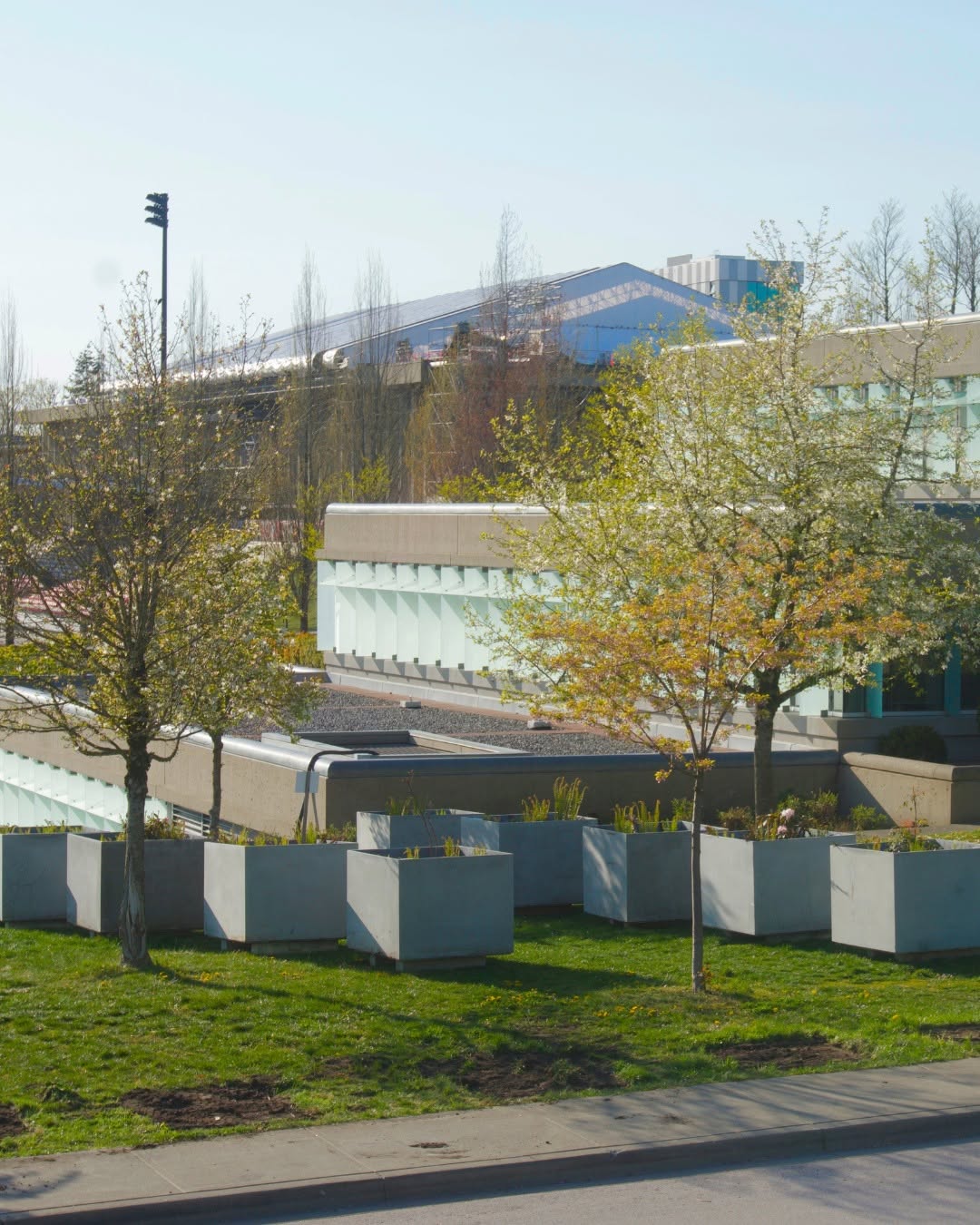 This is a photo of garden plots, which look like big, tall aluminum cubes, on a sunny day with small trees in front of the plots.