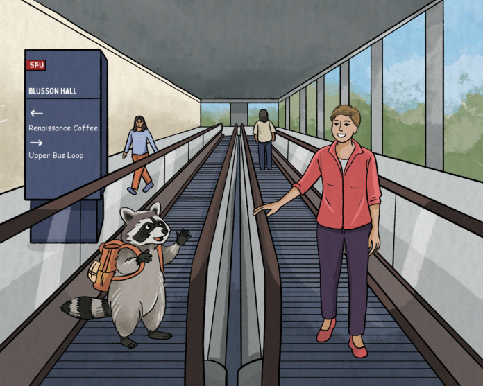 Joy Johnson and a raccoon thoroughly enjoying SFU’s newest installation of moving sidewalks inside of blusson hall. There are signs pointing to the upper bus loop and to Renaissance.