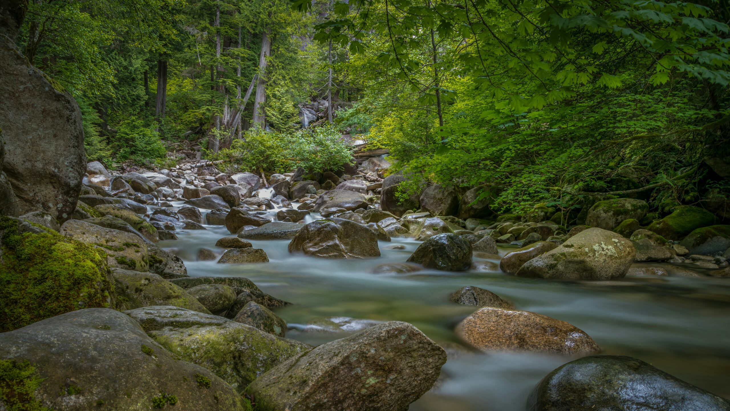This is a photo of a riparian ecosystem on Sḵwx̱wú7mesh land. Many rocks and trees meet a small river.