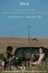 This is a poster of What Happened to the Wolf?