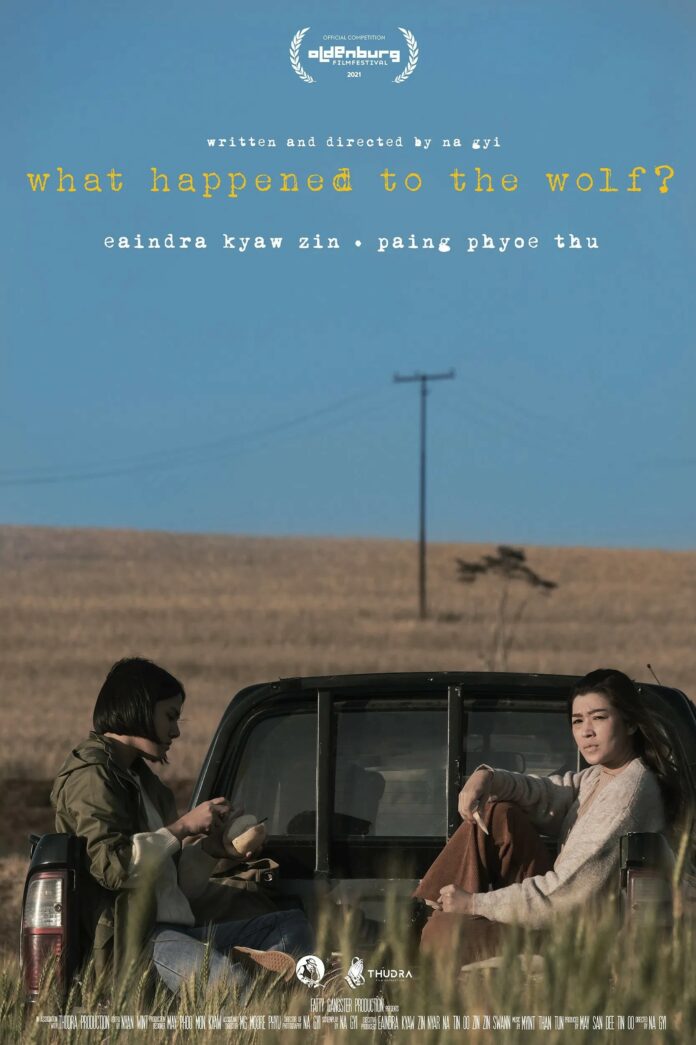 This is a poster of What Happened to the Wolf?