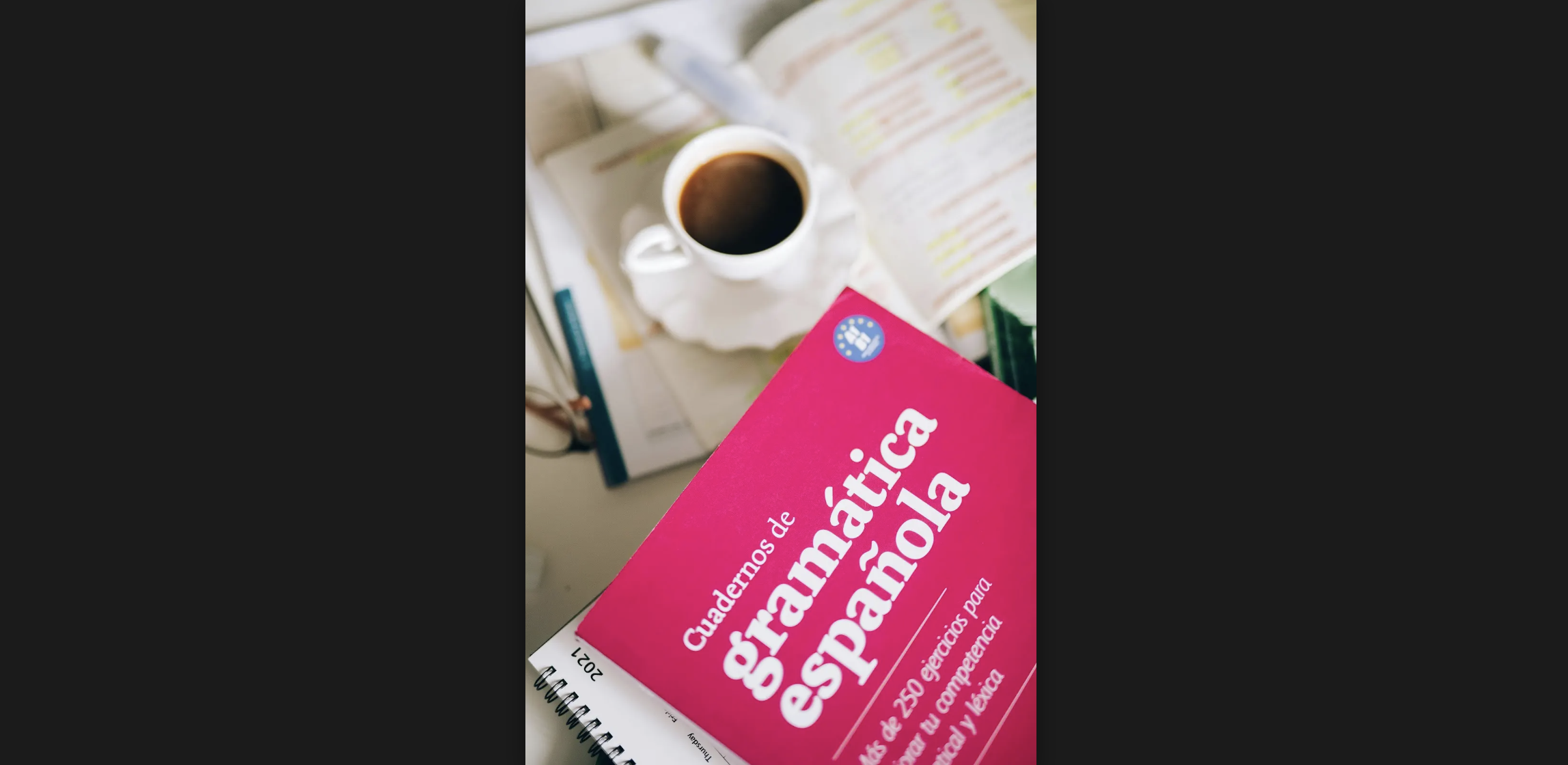 a photo of a pink Spanish grammar activity book.