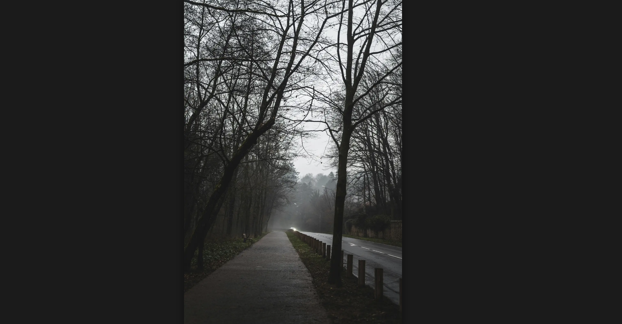 an image of a foggy road. The perspective of the image is from the sidewalk. There are leafless trees on either side of the road. The atmosphere is moody.